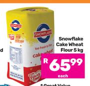 Snow Flake Cake Wheat Flour-5kg