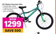 Raleigh 20" Blaster Mountain Bike