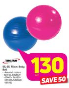 Trojan 55/65/75cm Body Ball-Each