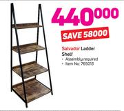 Salvador Ladder Shelf