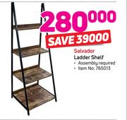 Salvador Ladder Shelf