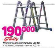 Gravity Wonder Aluminium Gravity Ladder