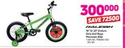 Raleigh 16” Or 20” Enduro Girls And Boys Mountain Bike