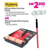 Academy 225mm Roller On A Pole F5838 Or 225mm Ecopile Paint Tray Set F5540-Each