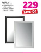 Hall Mirror-735 x 1040mm Each