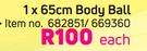 Trojan 65cm Body Ball