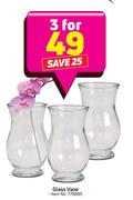 Glass Vase-For 3