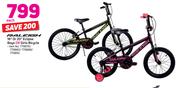 Raleigh 16" Or 20" Eclipse Boys Or Girls Bicycle-Each