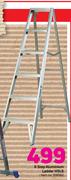 Gravity 6 Step Aluminium Ladder HLS6