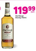 Olof Bergh Brandy-750ml