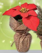 28cm Mini Tree With Snow Finish