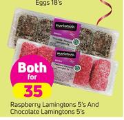 Raspberry Lamingtoms 5's & Chocolate Lamingtons 5's-For Both