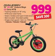 Raleigh 16" Or 20" Enduro Boys Or Girls MTB