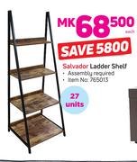 Salvador Ladder Shelf-Each