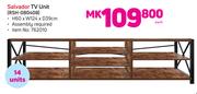 Salvador TV Unit-Each
