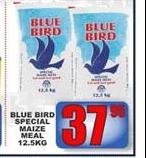 Blue Bird Special Maize Meal-12.5Kg