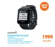 Garmin Forerunner 30 Slate