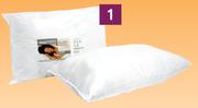 Sleepmasters 2 Pack Hollow Fiber Pillows