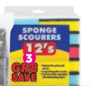 GR8 Save Scourer Sponge 12 Pack