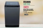 Defy 14Kg Grey Top Loader Washing Machine DTL160