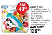 Playgro Explor A Ball