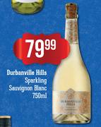 Durbanville Hills Sparkling Sauvignon Blanc-750ml