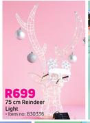 75cm Reindeer Light