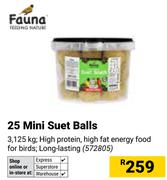 Fauna 25 Mini Suet Balls