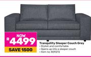 Tranquility Sleeper Couch (Grey)