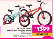 Raleigh 16" Or 20" Enduro Boys Or Girls Mountain Bicycle-Each