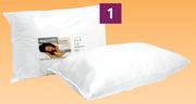 Sleepmasters 2 Pack Hollow Fiber Pillows