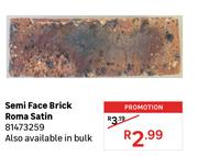 Semi Face Brick Roma Satin 81473259