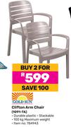 Goldsun Clifton Arm Chair 1091-TA-For 2
