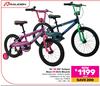Raleigh 16" Or 20" Eclipse Boys or Girls Bicycle-Each