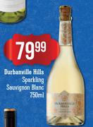 Durbanville Hills Sparkling Sauvignon Blanc-750ml
