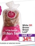 White Or Brown Bread Loaf