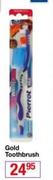 Pierrot Gold Toothbrush