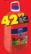 Take 5 100% Fruit Juice Blend-3Ltr