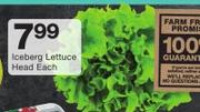 Iceberg Lettuce Head-Each