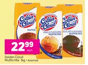 Golden Cloud Muffin Mix Assorted-1Kg Each
