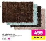 TBZ Shaggy Plush Rug-120 x 180cm