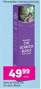 Special Kitty Cat Scratch Block-Each