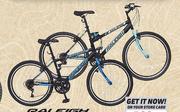Raleigh 24" Or 26" Eclipse Mens Or Ladies Mountain Bike-Each