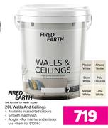 Fired Earth 20L Walls & Ceiling