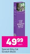 Special Kitty Cat Scratch Block-Each