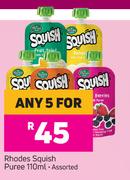 Rhodes Squish Puree Assorted-For Any 5 x 110ml