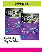 Special Kitty Clay cat Litter-For 2