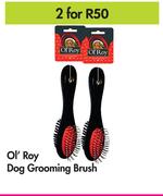 Ol'Roy Dog Grooming Brush-For 2