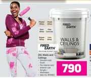 Fired Earth 20L Walls & Ceilings