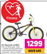 Raleigh 20" Mammoth 3.0 BMX
